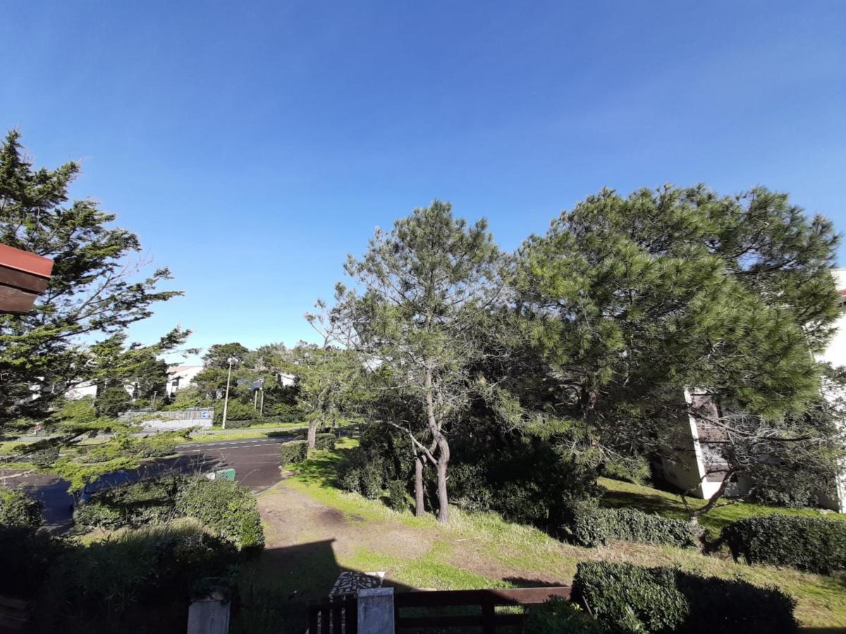 Maison Renovee Avec Terrasse A 700M Des Plages, Marche Et Activites - Tennis Et Piste Cyclable A 10M - Fr-1-239-385 Seignosse Exterior photo